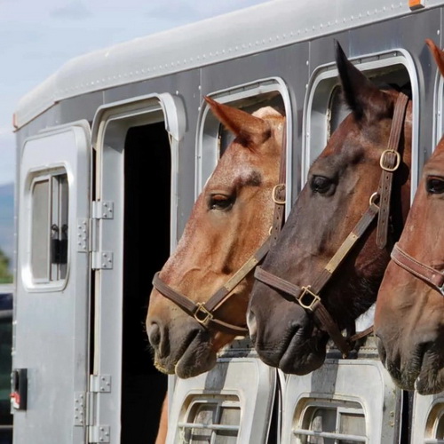 грузы спец назначения